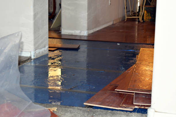 Professional Burst Pipe Cleanup technician working in Renault, IL