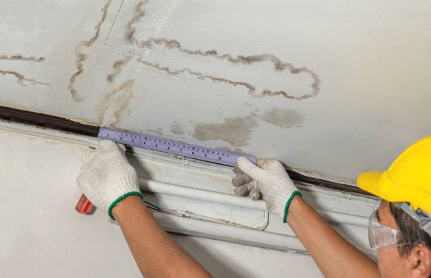 Reliable Burst Pipe Cleanup contractor in Renault, IL by Local Water Damage Repair